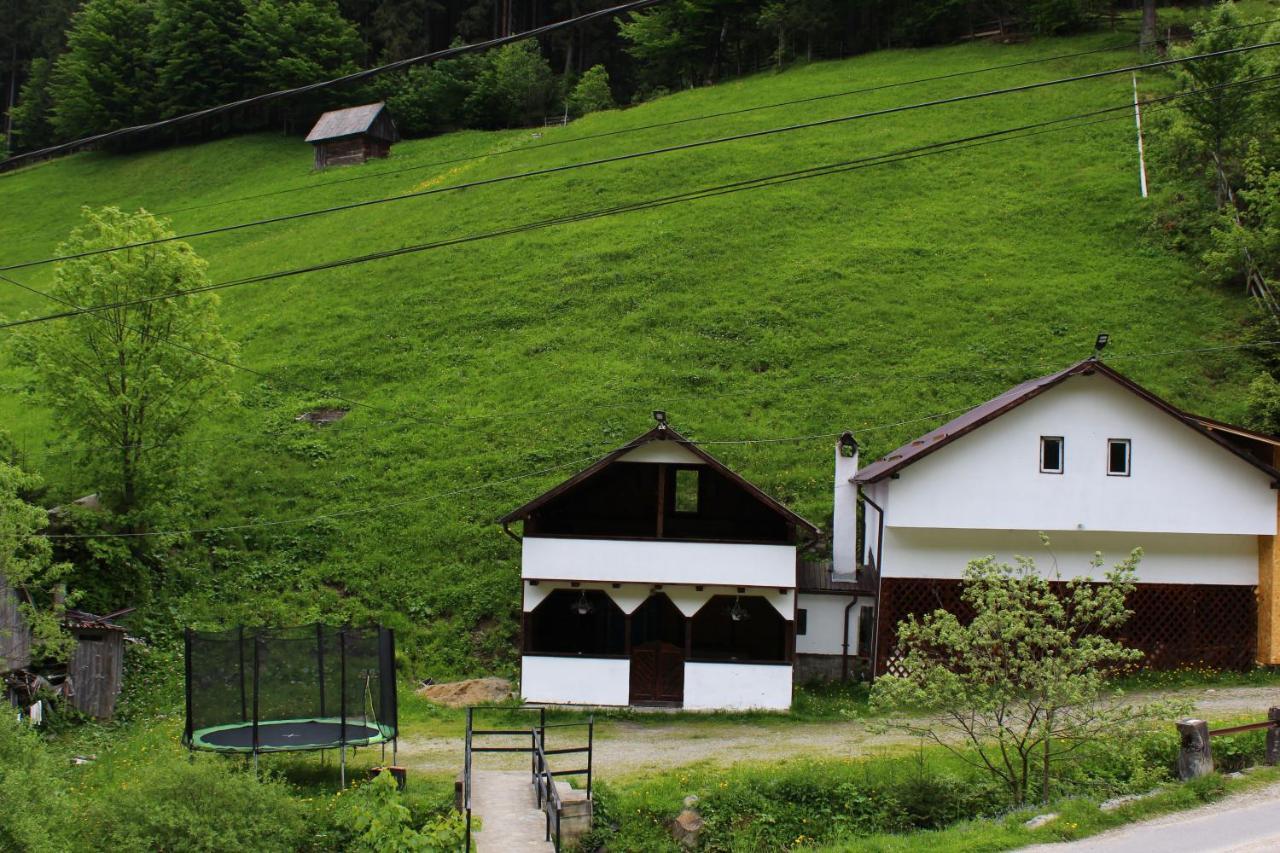 Casuta De Langa Padure Hotell Moeciu De Sus Exteriör bild
