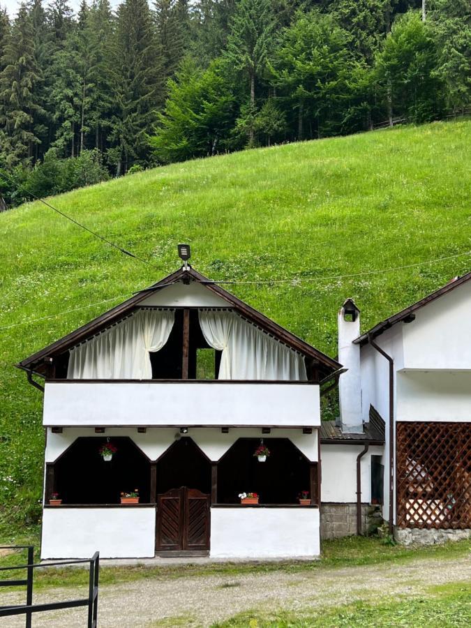 Casuta De Langa Padure Hotell Moeciu De Sus Exteriör bild