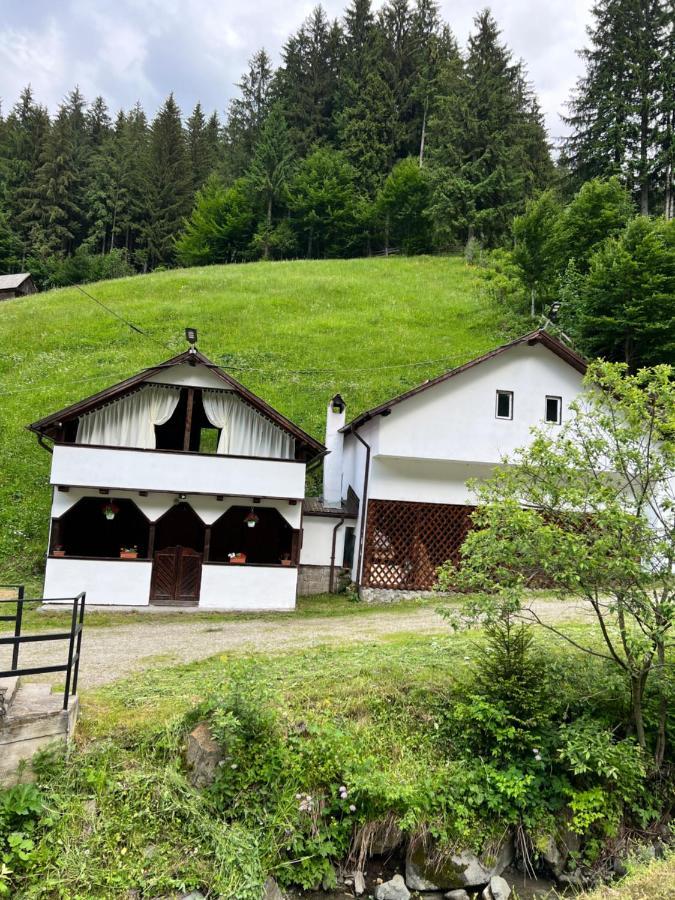 Casuta De Langa Padure Hotell Moeciu De Sus Exteriör bild
