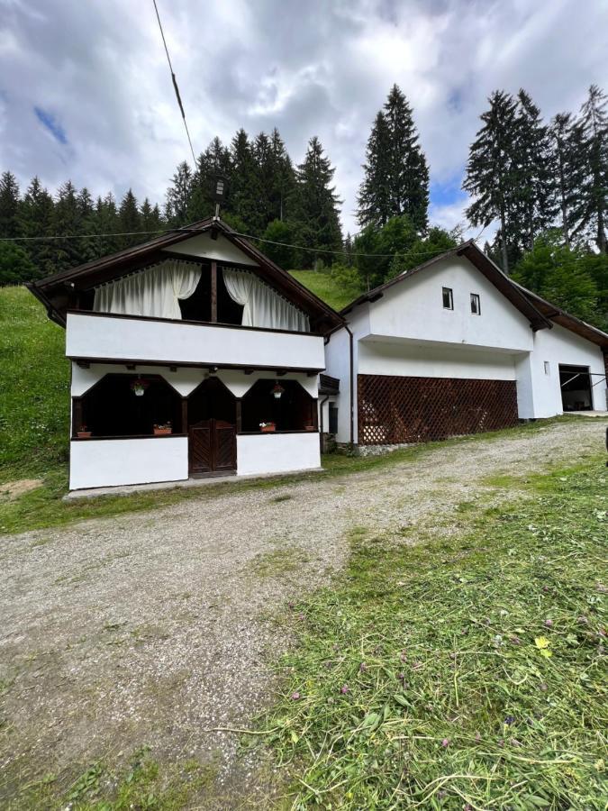 Casuta De Langa Padure Hotell Moeciu De Sus Exteriör bild