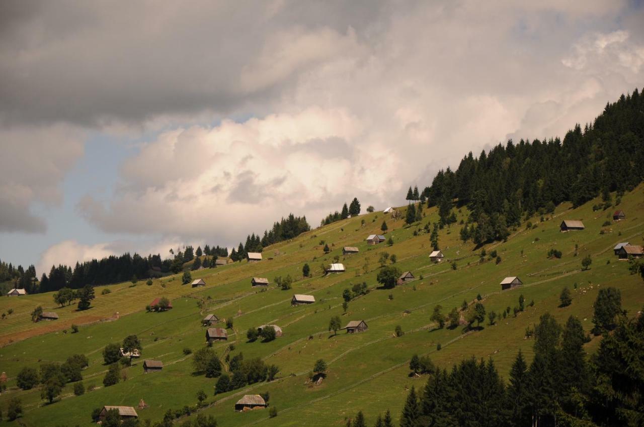 Casuta De Langa Padure Hotell Moeciu De Sus Exteriör bild