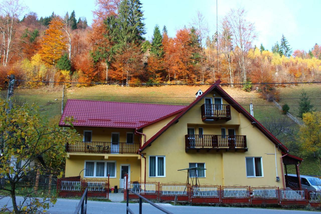 Casuta De Langa Padure Hotell Moeciu De Sus Exteriör bild