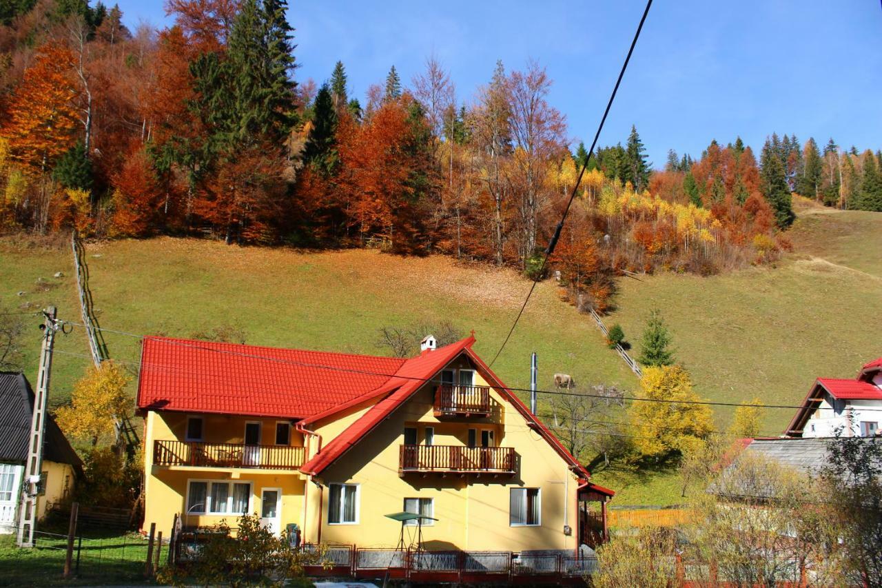 Casuta De Langa Padure Hotell Moeciu De Sus Exteriör bild