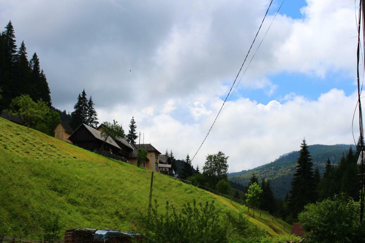 Casuta De Langa Padure Hotell Moeciu De Sus Exteriör bild