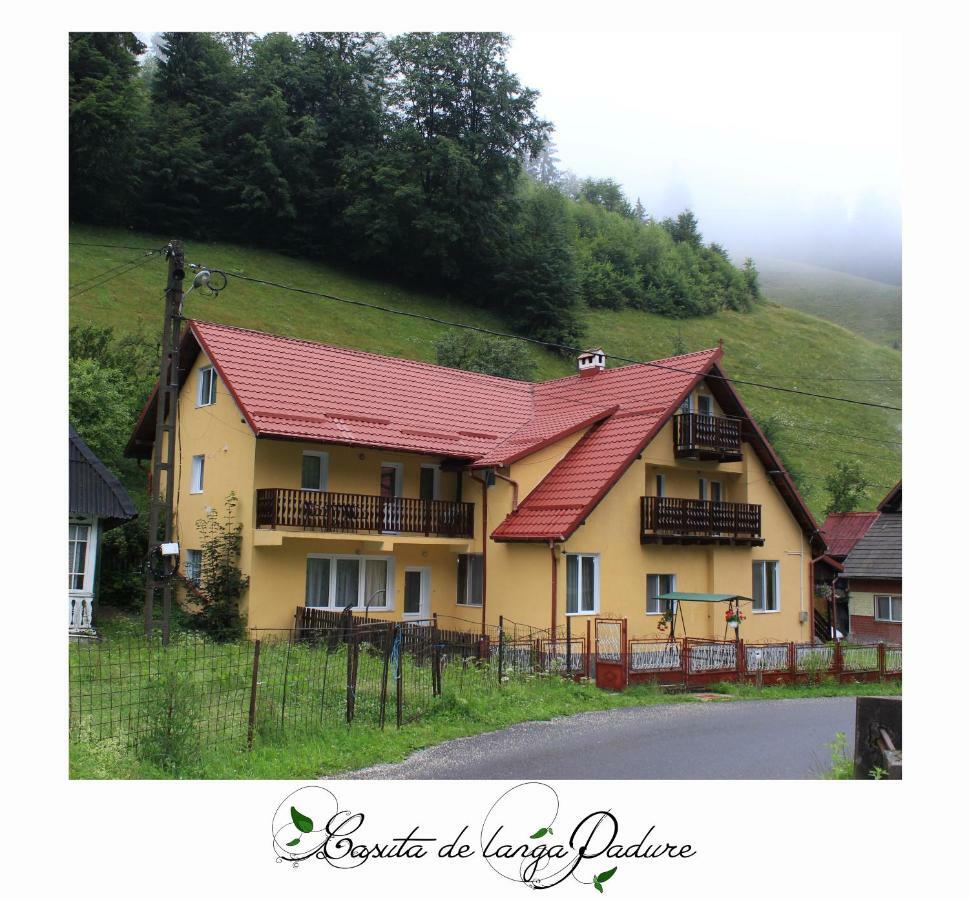 Casuta De Langa Padure Hotell Moeciu De Sus Exteriör bild